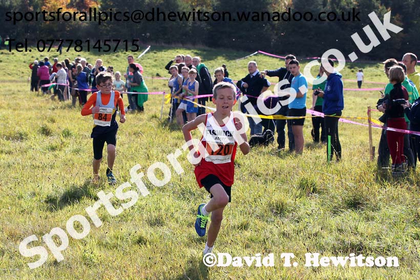 Under-11s start, North East Harrier League, Cramlington. Photo: David T. Hewitson/Sports for All Pics